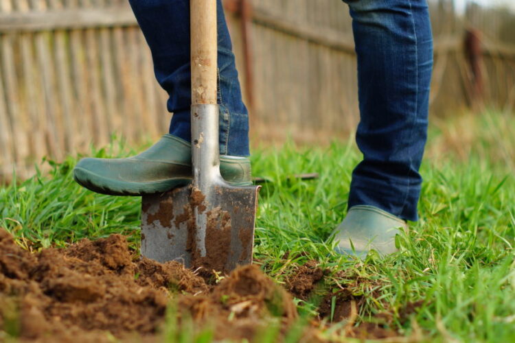 To Save the Planet, Start Digging